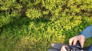 Обзор ручки, клетки SmallRig и получехла на фотоаппарат Nikon Zf