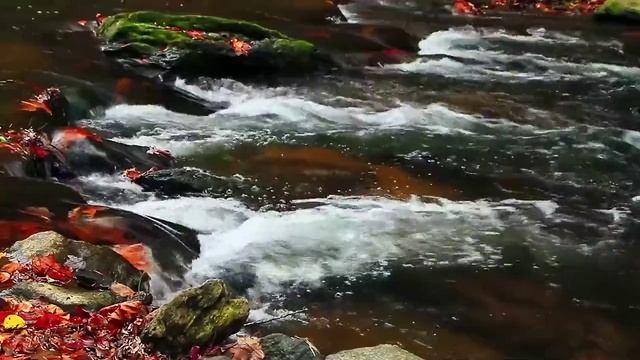 Завораживаюший шум потока воды реки в горах. Видео для релакса.