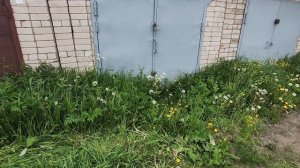 Гараж зарос - исправляем