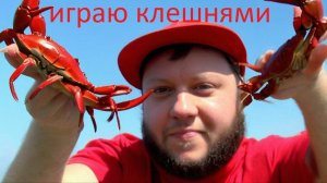МИР ТАНКОВ / СТРИМ