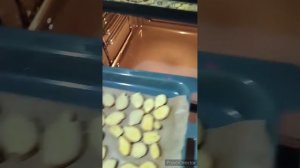 Сушим имбирь.