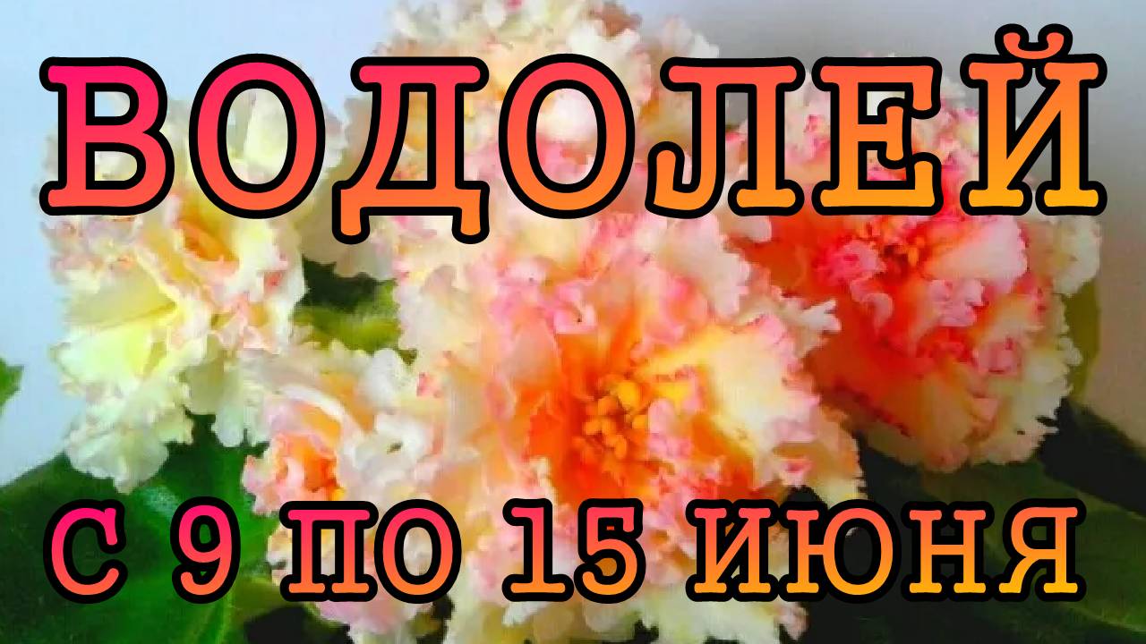 ВОДОЛЕЙ таро прогноз на неделю с 9 по 15 ИЮНЯ 2025 года.
