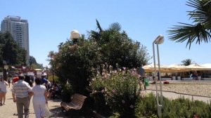 Сочи Центральный пляж