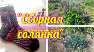 "Сборная солянка".Недельный влог.