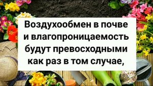 Надо ли перекапывать почву под КУСТАМИ И ДЕРЕВЬЯМИ