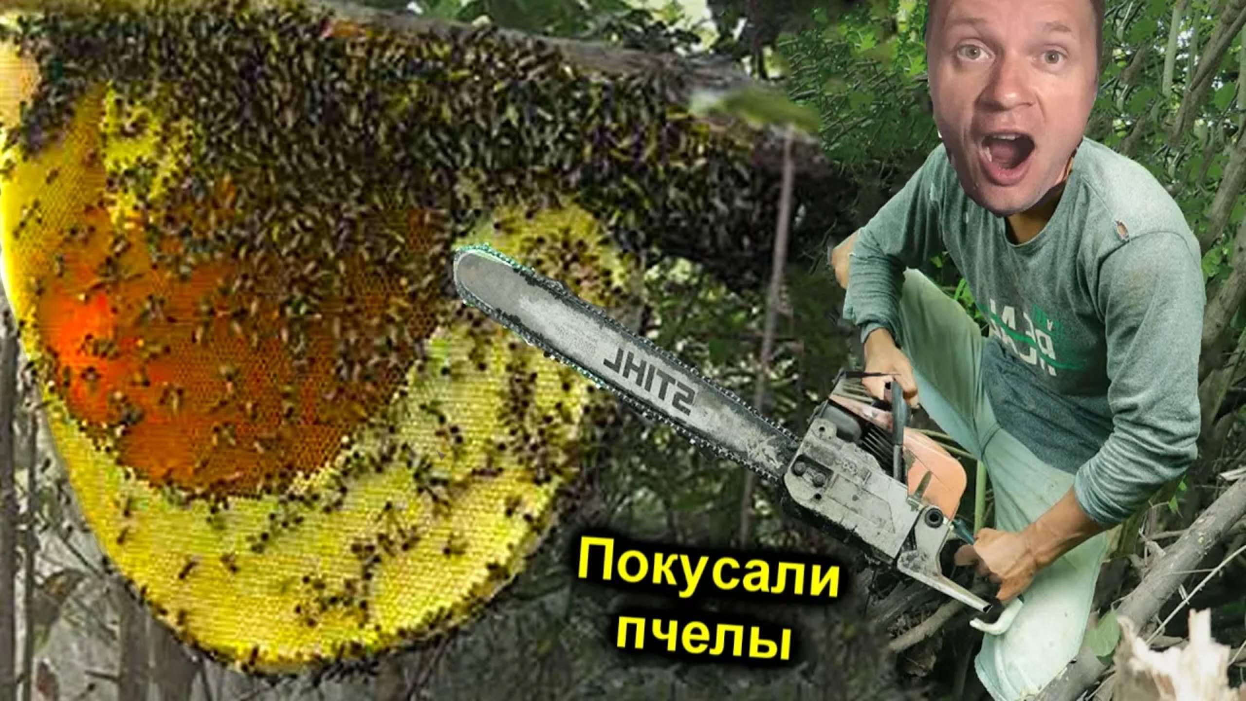 ✅Нашли УЛЕЙ ДИКИХ ПЧЁЛ ОГРОМНЫЙ 🐝ИСКУСАЛИ прям на ДЕРЕВЕ ☠️ ЛИХОРАДКА и ГАЛЮЦИНАЦИИ от УКУСОВ