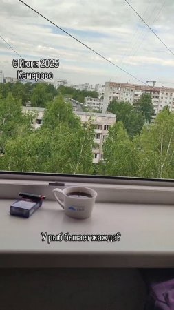 у рыб бывает жажда?
