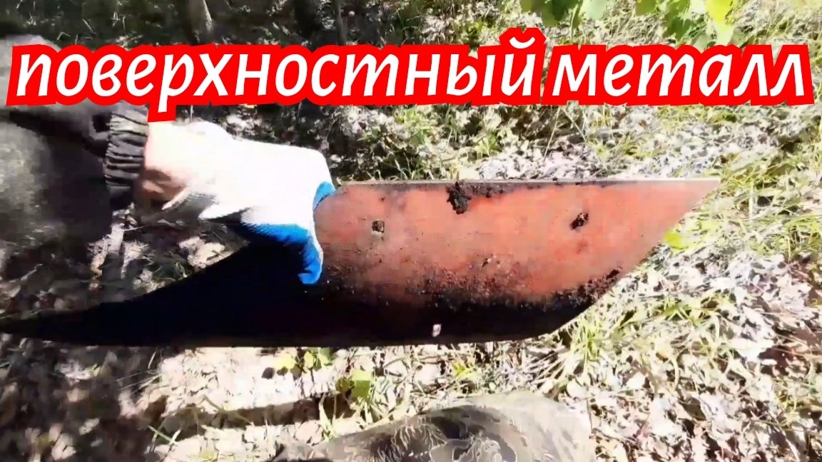 Металлокоп с краю поля прохожу лесопосадки