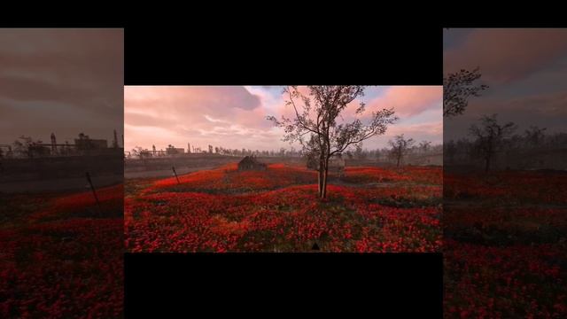 Песня Мармока из игры Сталкер 2, (расширенная версия - by
