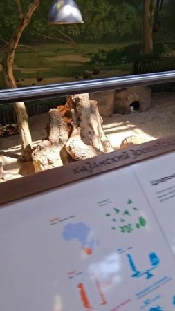 Казанский зоопарк 🐒