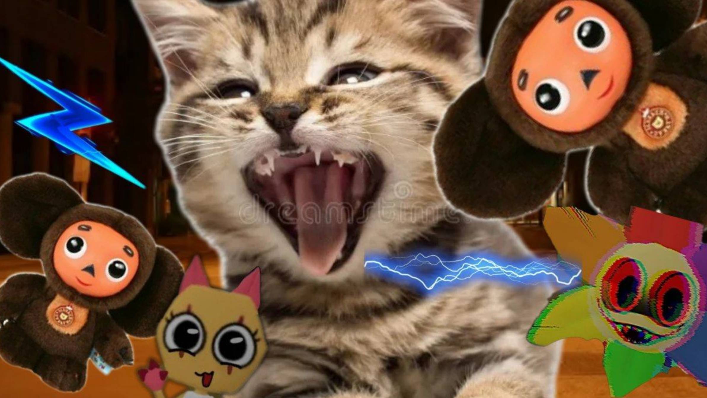 НИКОГДА НЕ ЗВОНИ ЧЕБУРАШКЕ!!! ЕЁ НОМЕР ДЛИНННЫЙ!? СПАСЛА ЖИЗНЬ КОШКАМ КОШЕЧКА МИЛАНА!