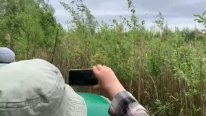 Болотоход прет по болоту!