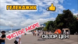 ГЕЛЕНДЖИК ЧИСТОЕ МОРЕ - КАКИЕ ЦЕНЫ НА ПИТАНИЕ Ресторанах Кафе. геленджик