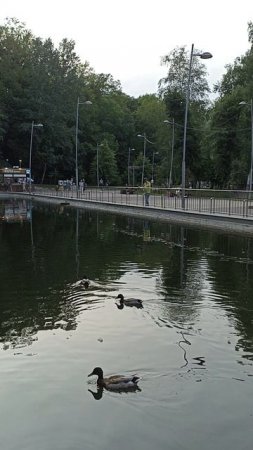 Воронеж, парк Динамо в пятницу вечером