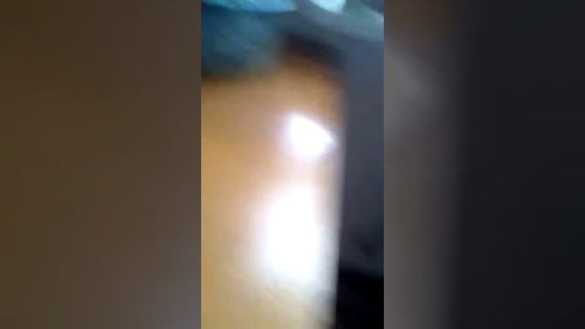 Все скины симулятор мыши;!!! смотреть онлайн