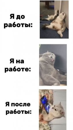 😄😄😄