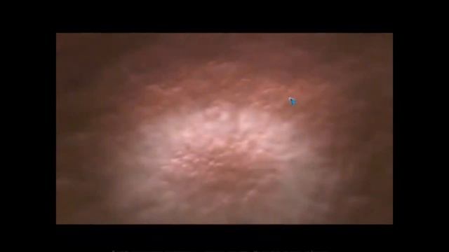 (♂Right Version♂)Тайны Spore - Морской ♂gay♂ смотреть онлайн