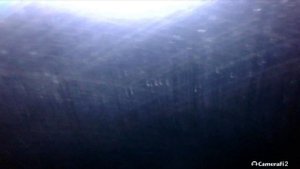 ✅️ Volkswagen Tiguan 1.4 2008 270000км: эндоскопия ЦПГ