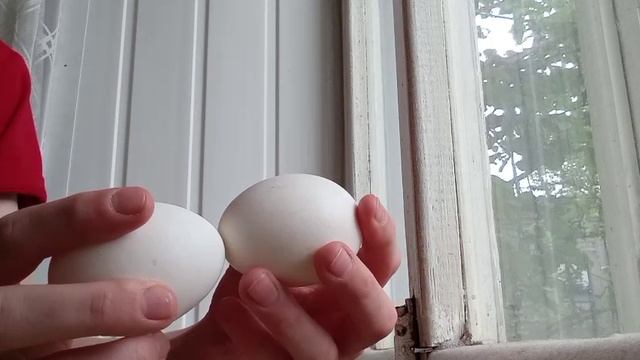 Легендарная битва vs