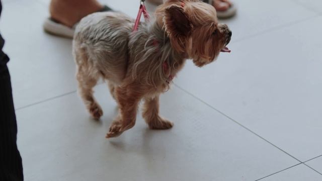 LADA Vesta ПЕРВЫЙ ЛАДА ЦЕНТР