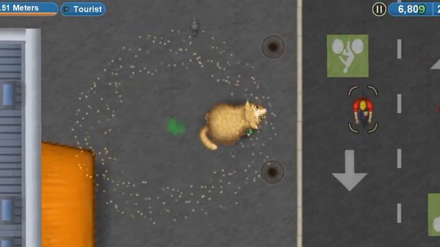 Tasty Planet Forever § Кот-Обжора #1 смотреть онлайн