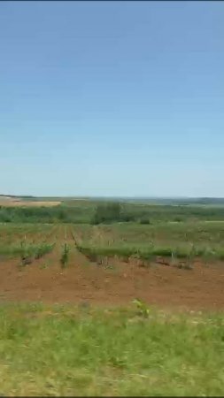 краснодарский край