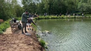 Поимки на водоеме