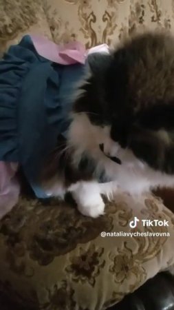 Собралась на дискотеку...)))
