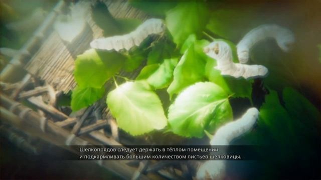 Визит в "Пустой Кокон" | Прохождение | Hollow Cocoon | Часть 1 #Ho смотреть онлайн