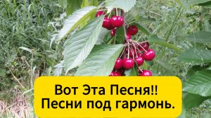 Вот Эта Песня!!🔥Песни под гармонь.