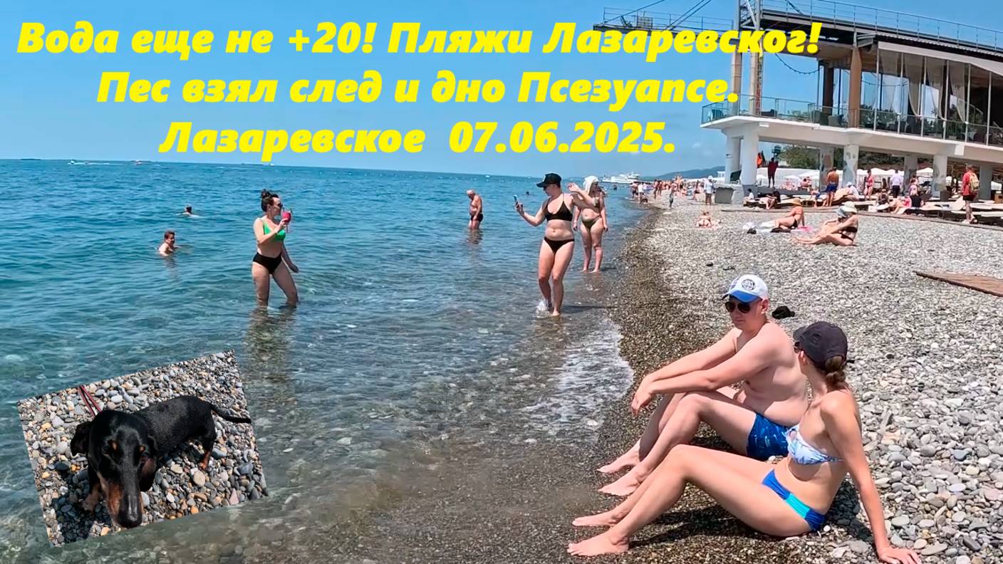 Вода пока не +20! Пляжи "Лазаревского" Пес и дно Псезуапсе.