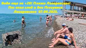 Вода пока не +20! Пляжи "Лазаревского" Пес и дно Псезуапсе.