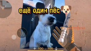 Все ПАСХАЛКИ на карте SANDSTONE! #стандофф2 #standoff2