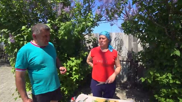 Жизнь в деревне. Готовлю салат из горошка .