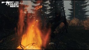SILENT NORTH ВАЙП 31.5