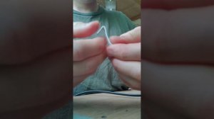 Как быстро вытащить клеща у кошки