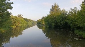 Магнолия
