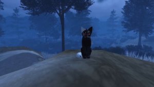 КАК СТАТЬ ПОПУЛЯРНЫМ ВКУЕРОМ?|коты воители,роблокс #wcue