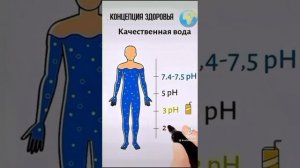 Как запустить восстановление организма?