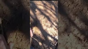 Рыба не по профилю, зато по кайфу