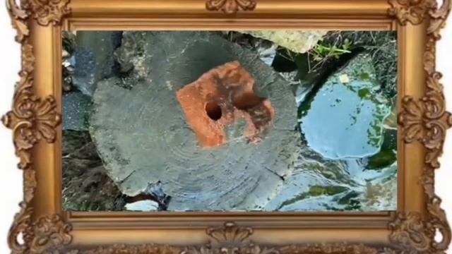 СОВРЕМЕННО ИСКУССТВО