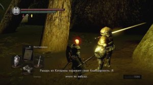 Проблемы Сигмайера - разбор Dark Souls №1