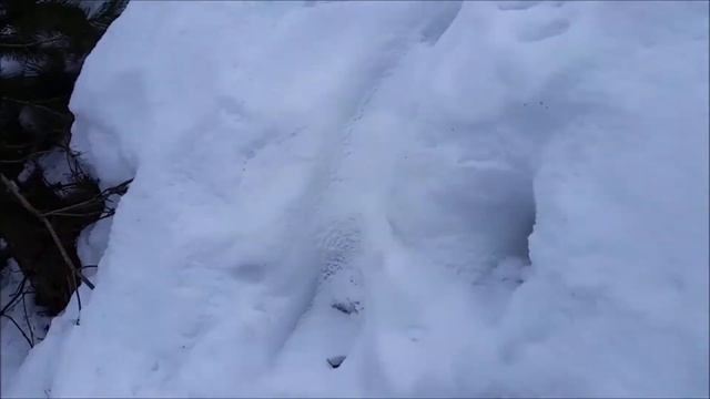 ДОТ И ДП смотреть онлайн