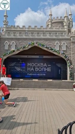Живот вываливается? Подвздошно-поясничная мышца в спазме.