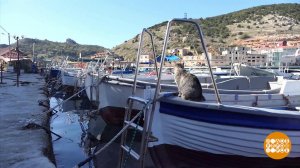 Чем богаты наши моря и океаны? Доброе утро. Суббота. Фрагмент выпуска от 07.06.2025