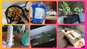 Деревенские будни.Тут убери,там посади🌱