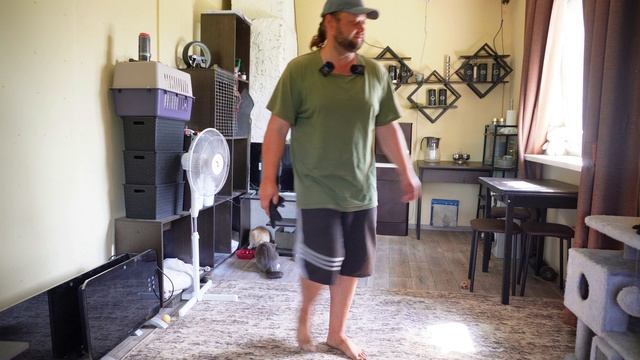 Утро огородное и обед с пшенной кашей КАК ВСЕГДА ЖИЗНЬ В ДЕРЕВНЕ