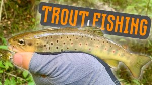 Осенняя TROUT | Форелевый "детский сад"