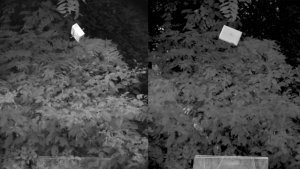 Ответ по эксперименту с винтовкой и бруском №2