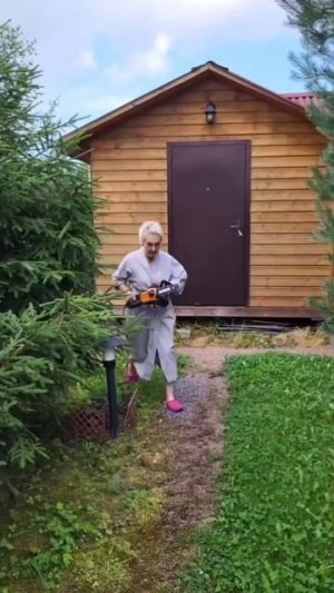 Дачная жизнь